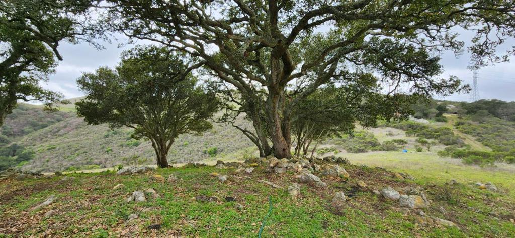 0 Salinas Road Property Photo 1