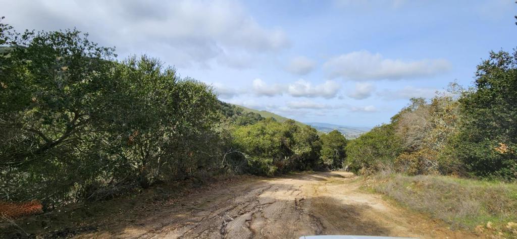 0 Salinas Road Property Photo 6