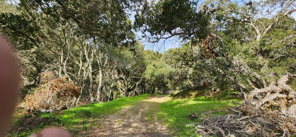 0 Salinas Road Property Photo 7