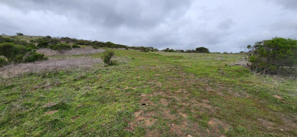 0 Salinas Road Property Photo 10