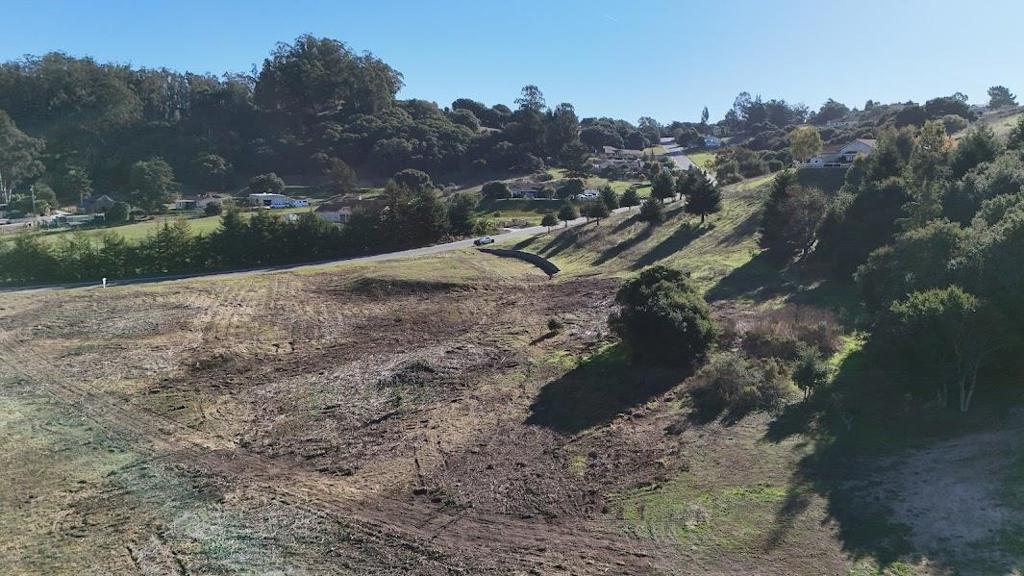 10706 Country Meadows Road Property Photo 10