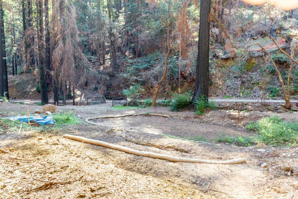 11810 Clear Creek Property Photo 1