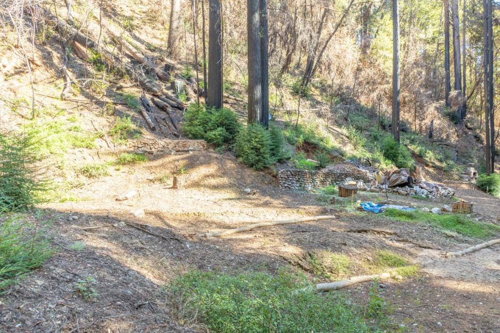 11810 Clear Creek Property Photo 19