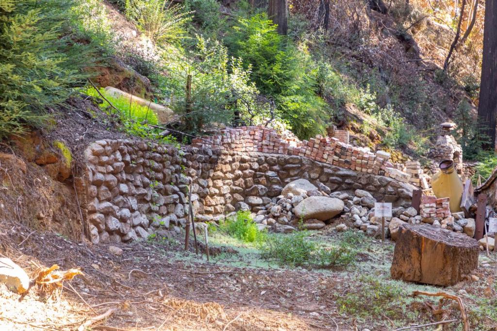 11810 Clear Creek Property Photo 21