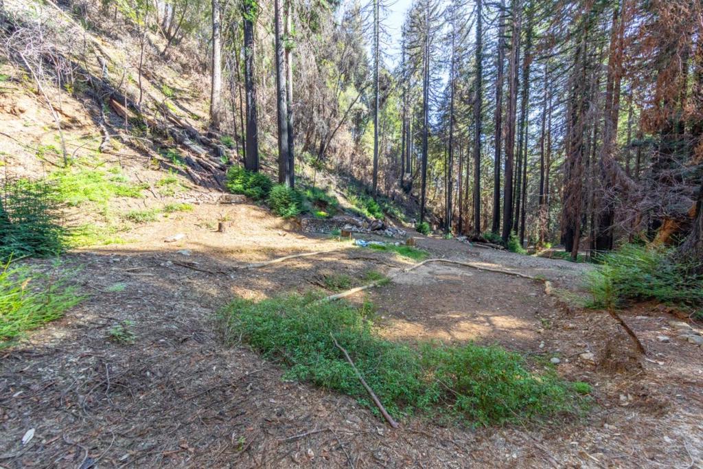 11810 Clear Creek Property Photo 24