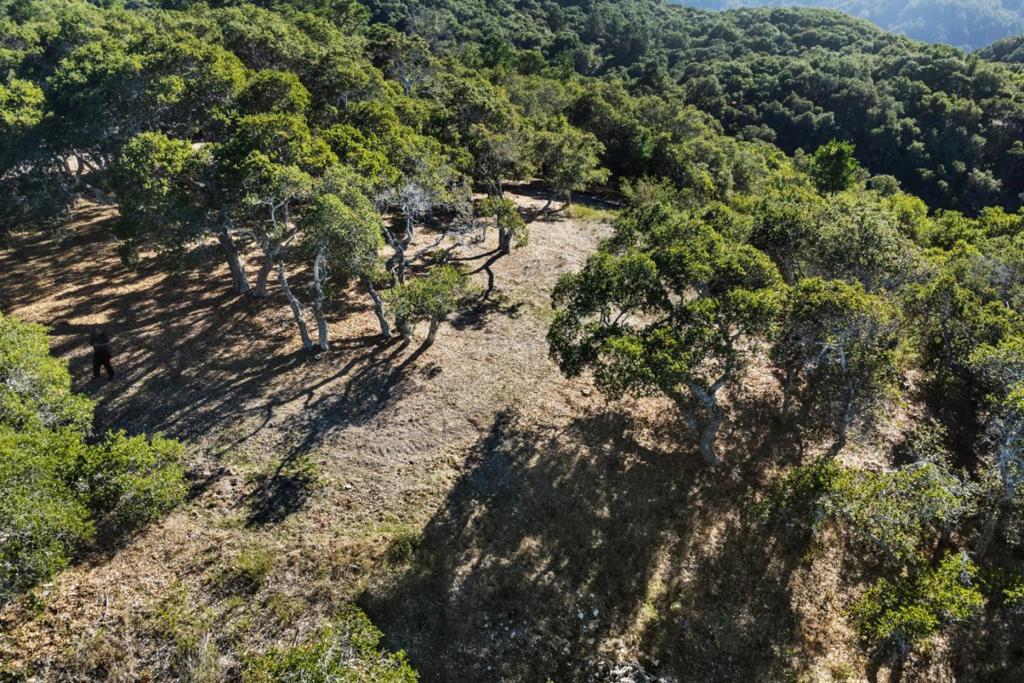 9 Corral Run Property Photo 4