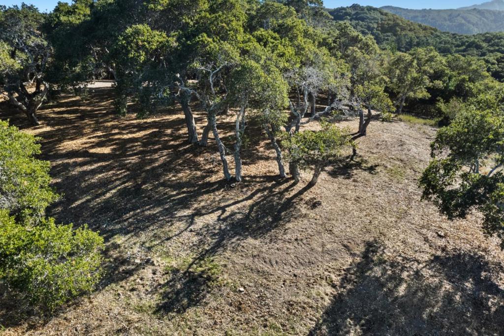9 Corral Run Property Photo 5