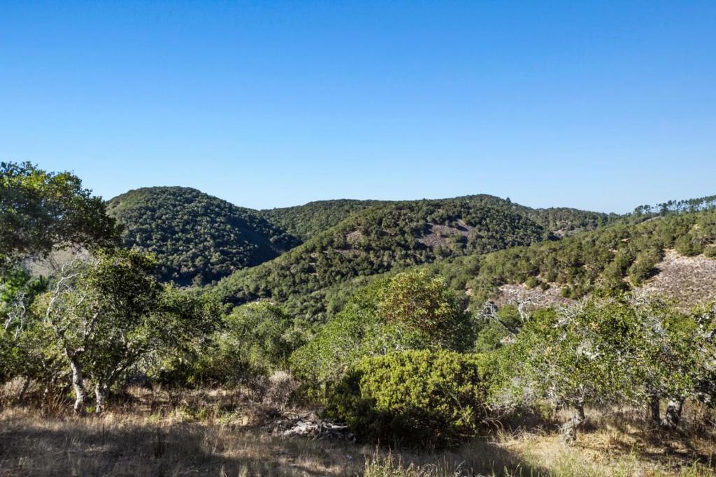 9 Corral Run Property Photo 6