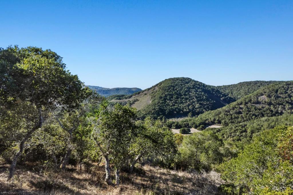 9 Corral Run Property Photo 7