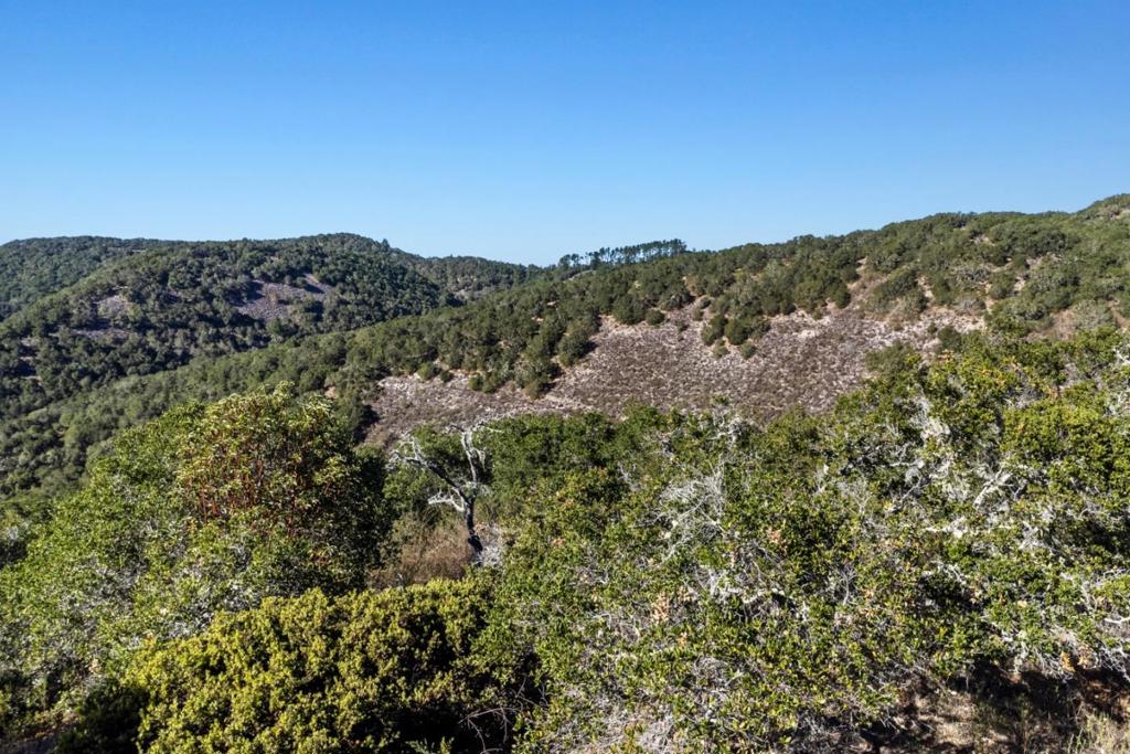 9 Corral Run Property Photo 9