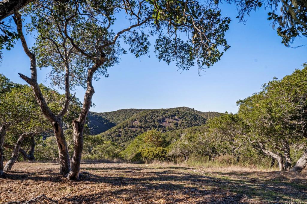 9 Corral Run Property Photo 12