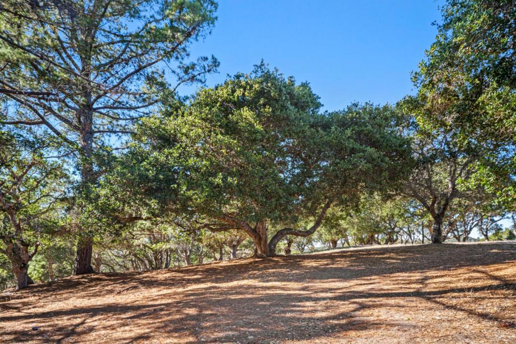 9 Corral Run Property Photo 13