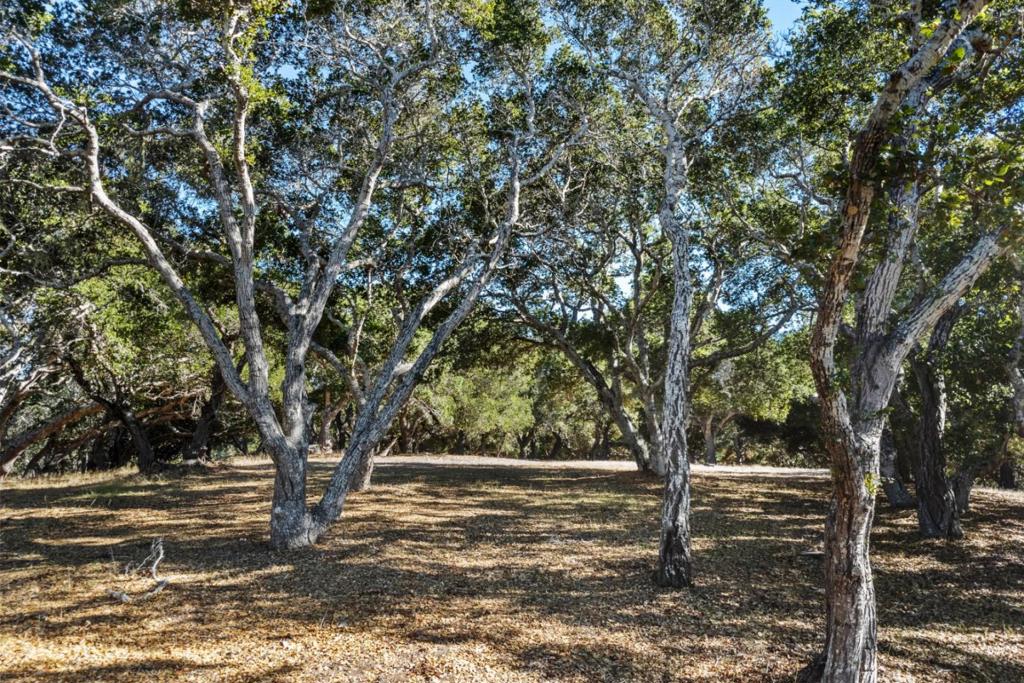 9 Corral Run Property Photo 15