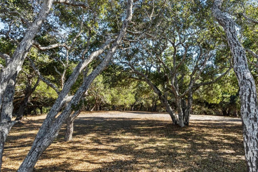 9 Corral Run Property Photo 16