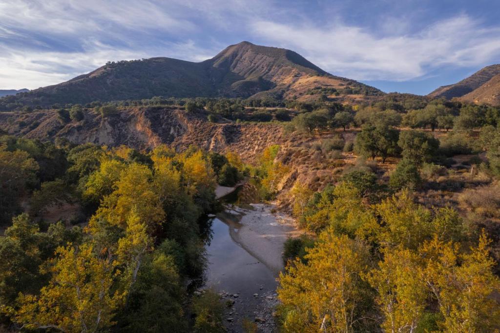 47275 Arroyo Seco Road Property Photo 4