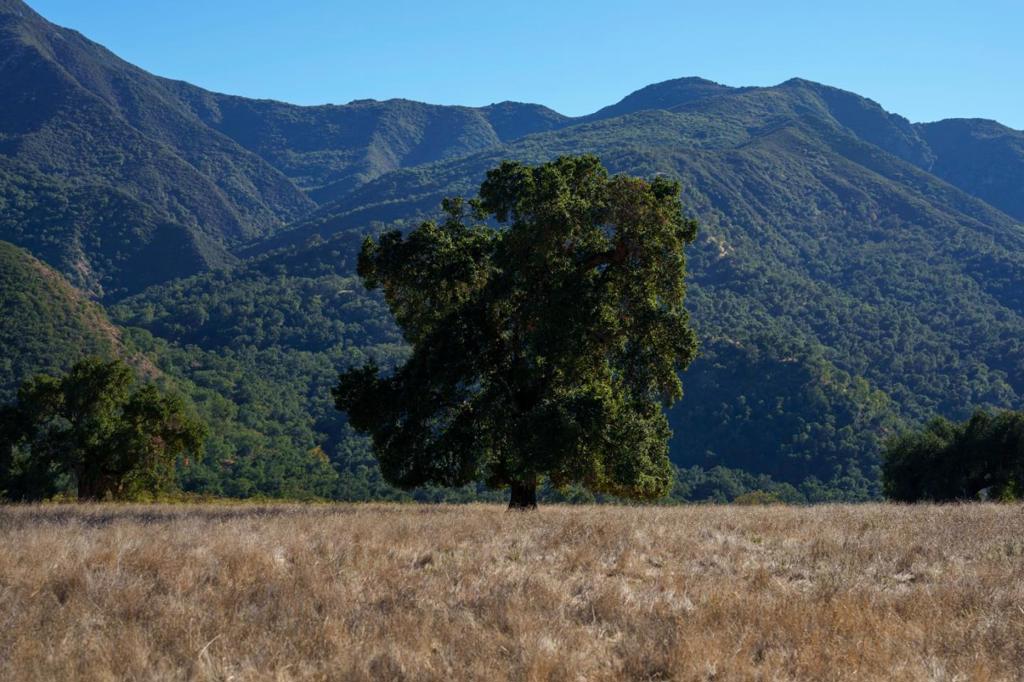 47275 Arroyo Seco Road Property Photo 11