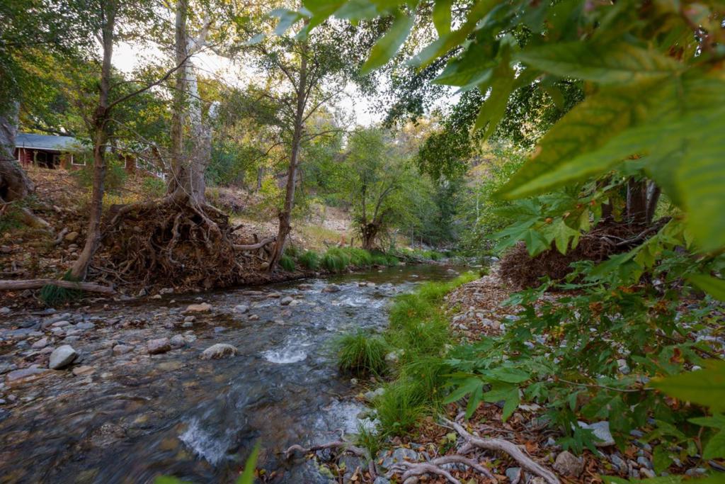 47275 Arroyo Seco Road Property Photo 17