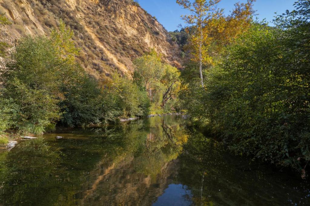 47275 Arroyo Seco Road Property Photo 20