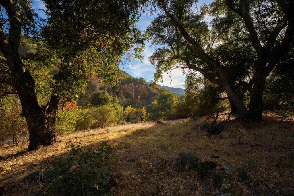 47275 Arroyo Seco Road Property Photo 21