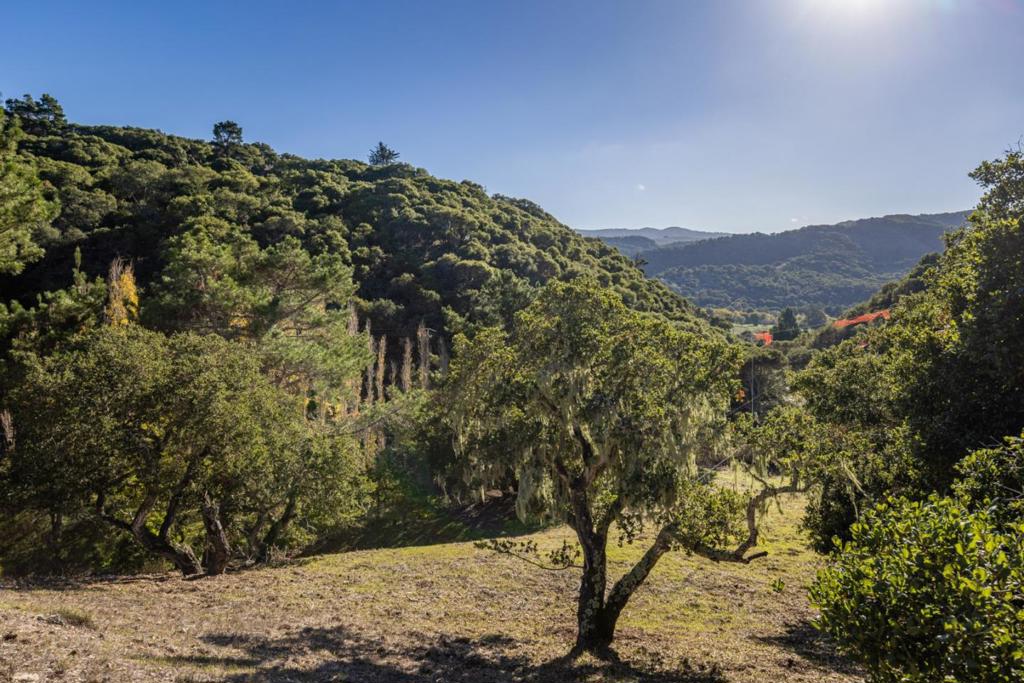 28007 Mercurio Road Property Photo 10