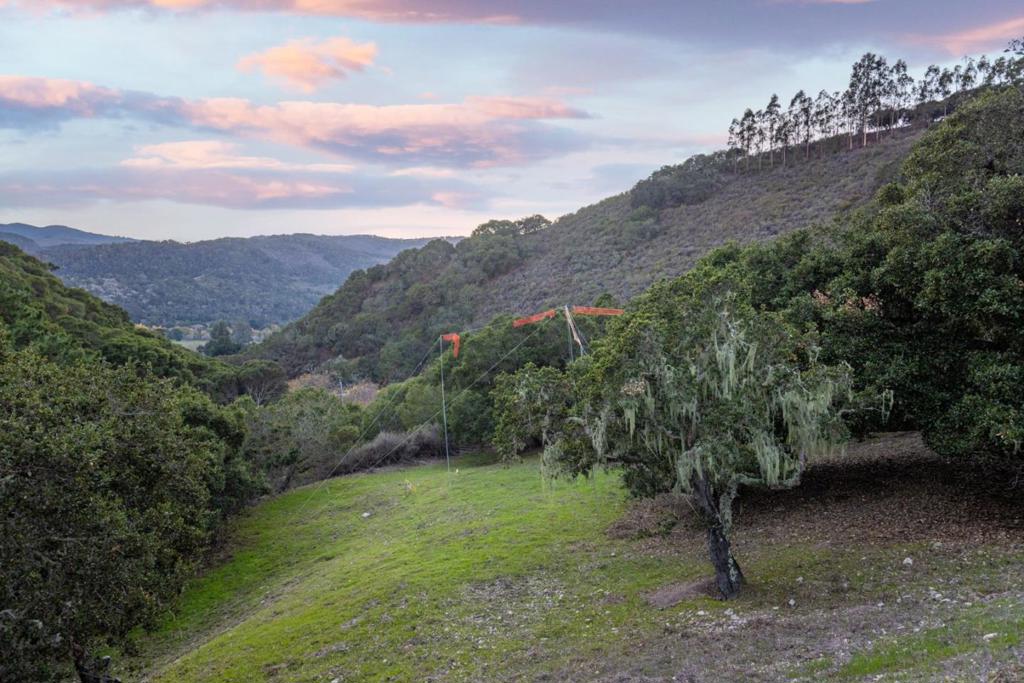 28007 Mercurio Road Property Photo 11