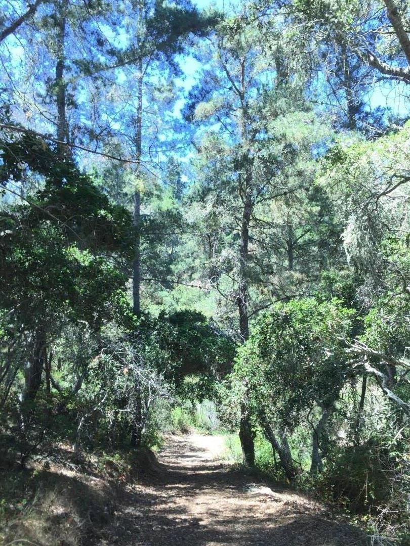 64 Marguerite (tehama) Property Photo 4