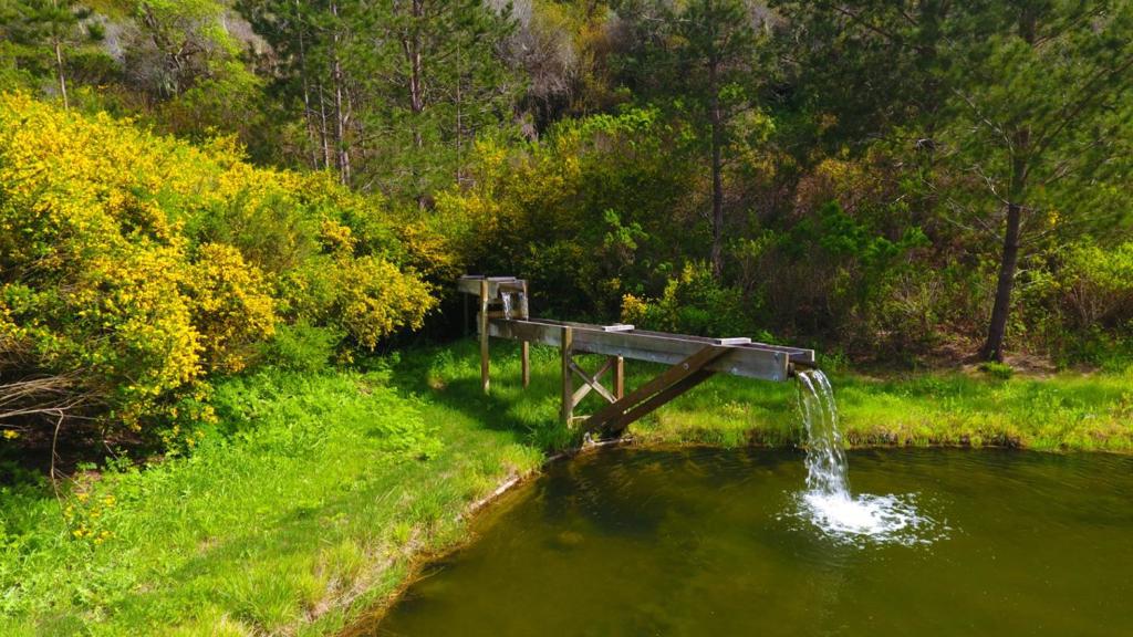 64 Marguerite (tehama) Property Photo 10