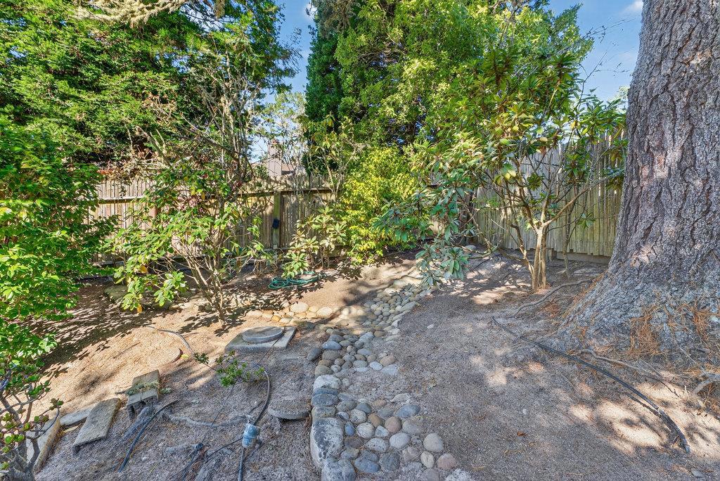 4051 Los Altos Drive Property Photo 62