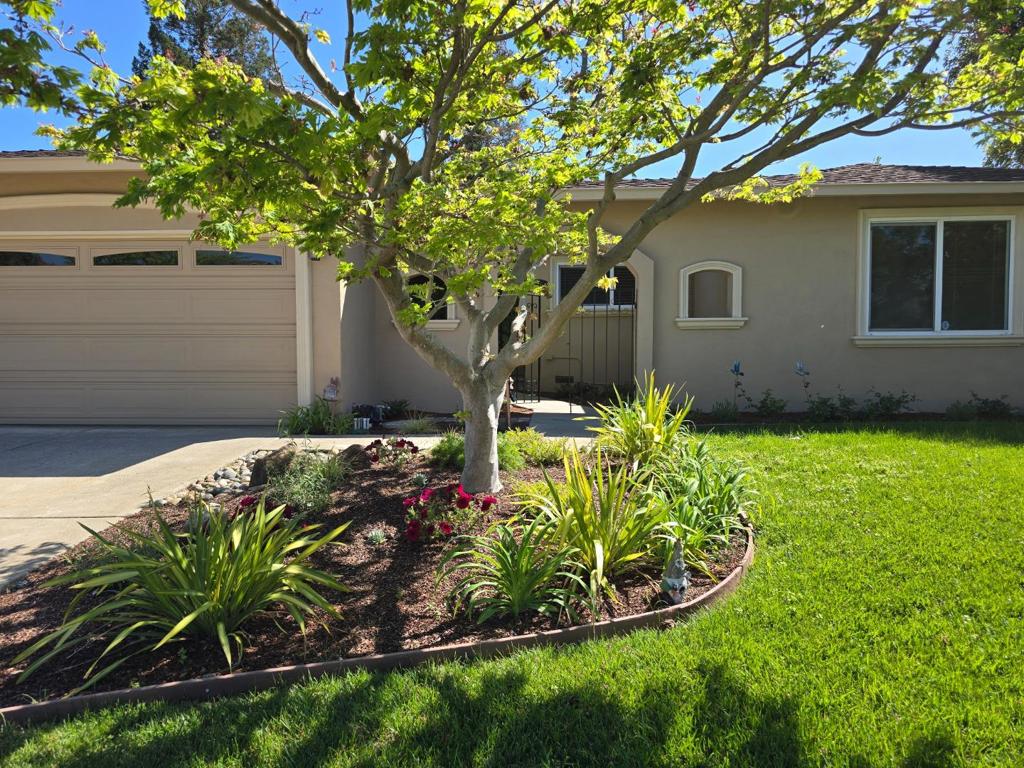 536 Curie Drive Property Photo 2