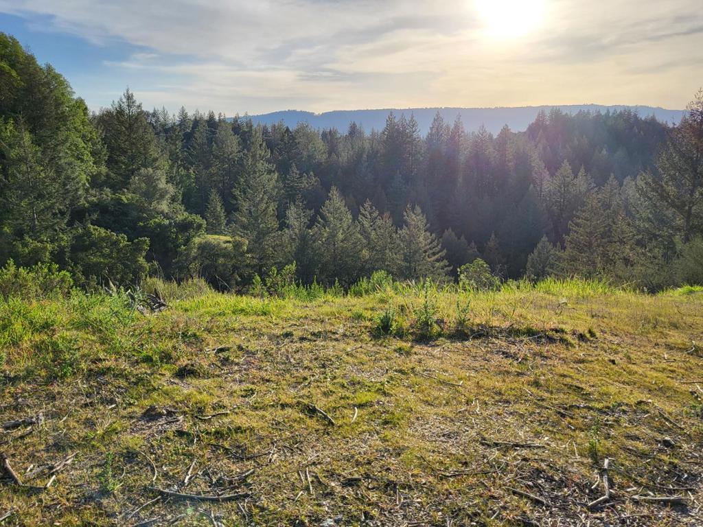 18060 Moonrise Road Property Photo 6
