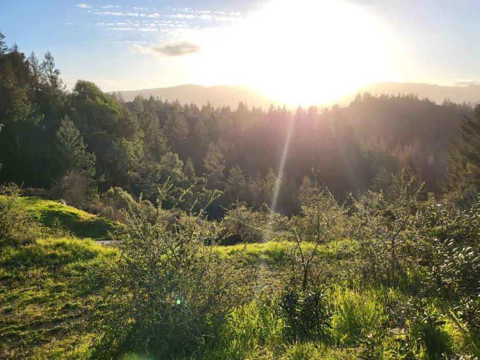 18060 Moonrise Road Property Photo 8