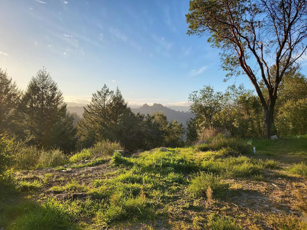 18060 Moonrise Road Property Photo 11