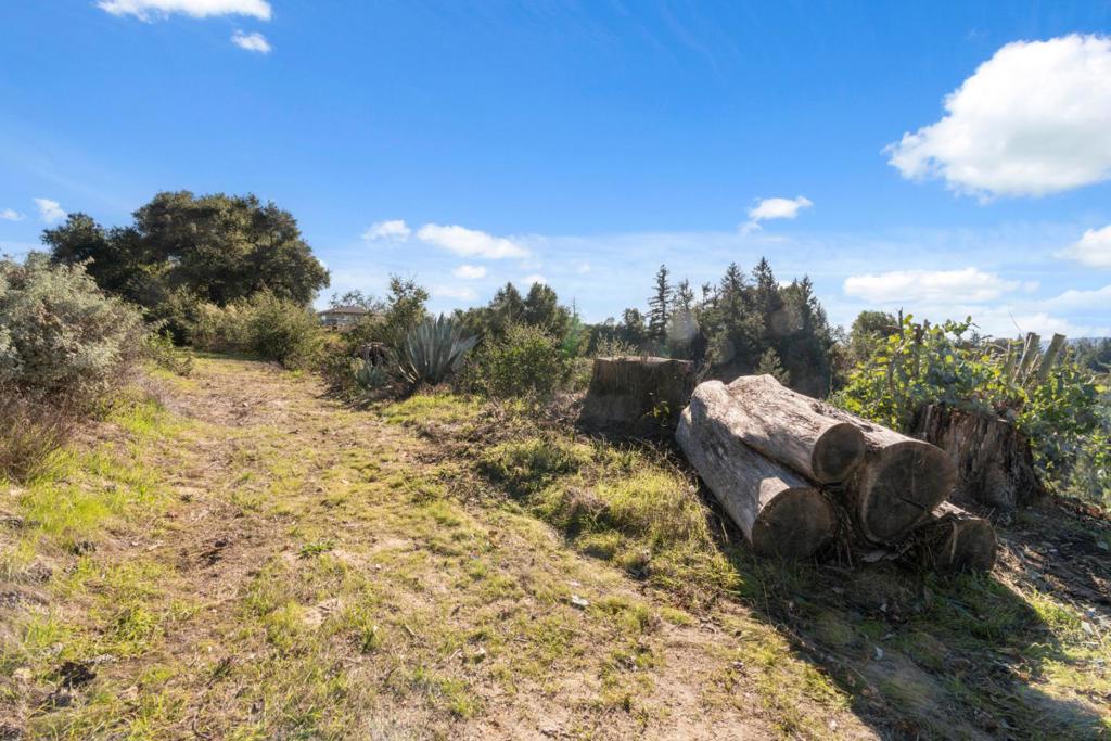 18060 Moonrise Road Property Photo 22