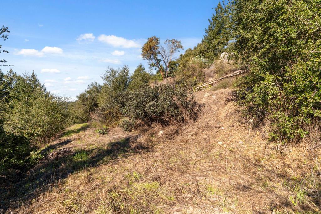18060 Moonrise Road Property Photo 24