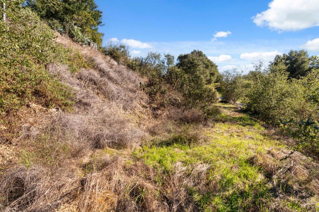 18060 Moonrise Road Property Photo 25