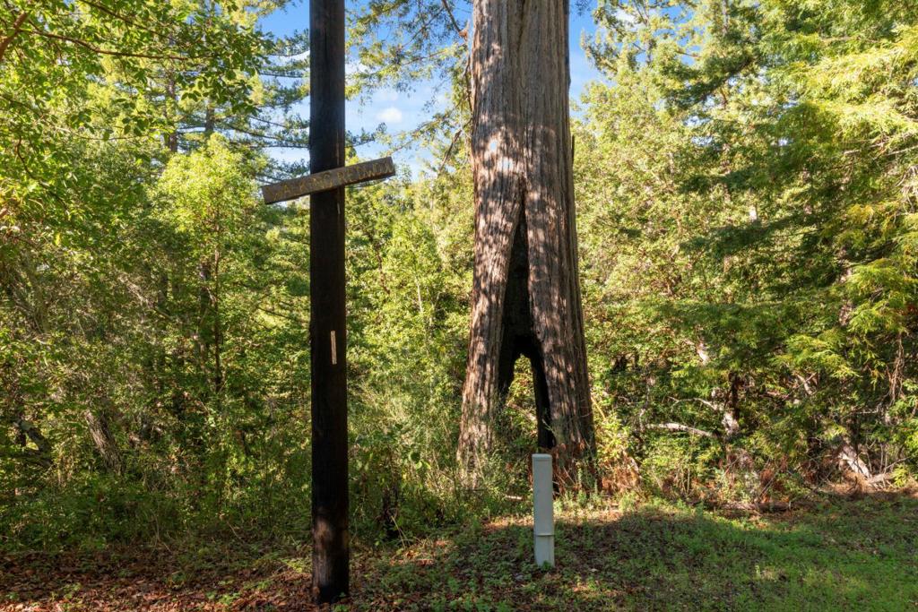 18060 Moonrise Road Property Photo 27