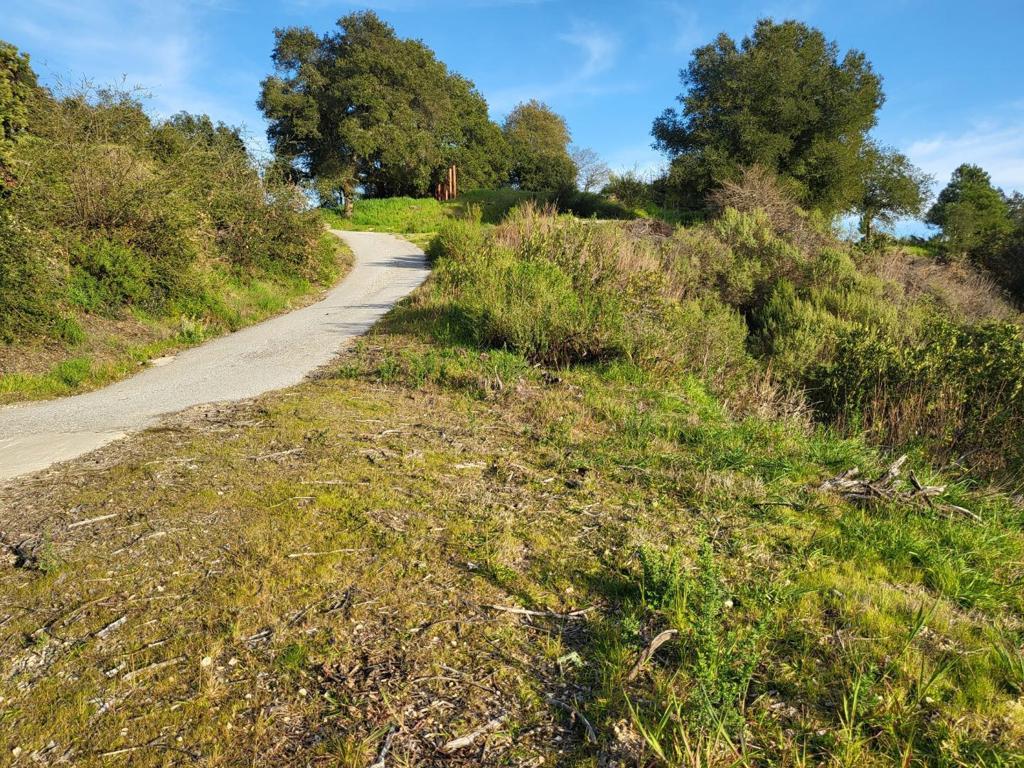 18060 Moonrise Road Property Photo 30