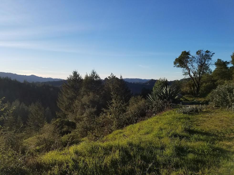 18060 Moonrise Road Property Photo 31
