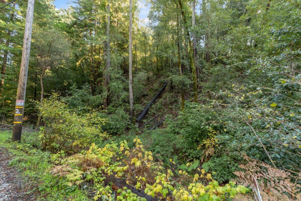 4 Old Mill Avenue Property Photo 5