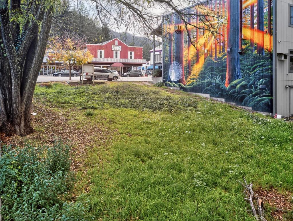 13080 Highway 9 Property Photo 3