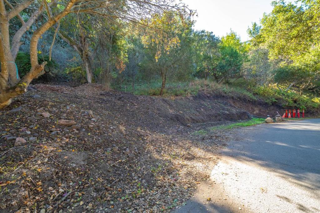 27631 Schulte Road Property Photo 20
