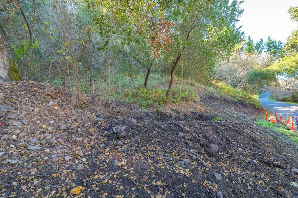 27631 Schulte Road Property Photo 21
