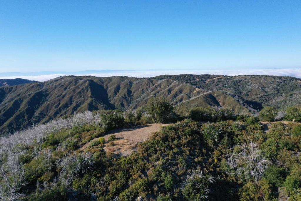 1 Twin Peaks Property Photo 1