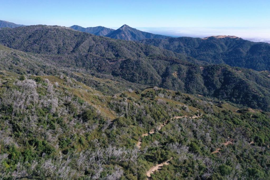 1 Twin Peaks Property Photo 2