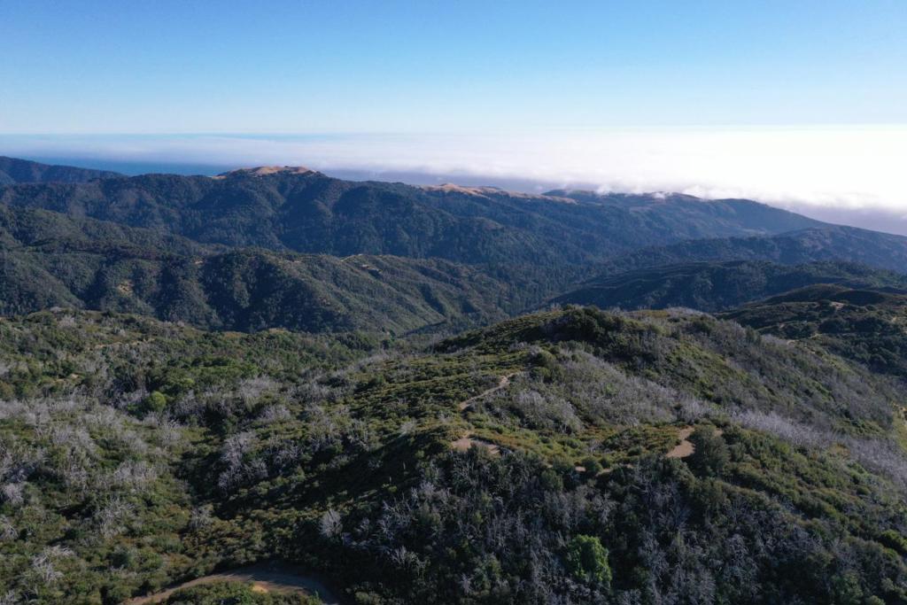 1 Twin Peaks Property Photo 4