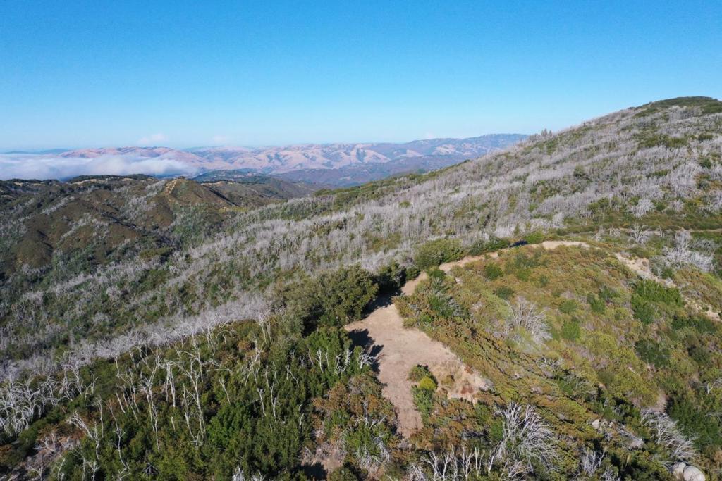 1 Twin Peaks Property Photo 5