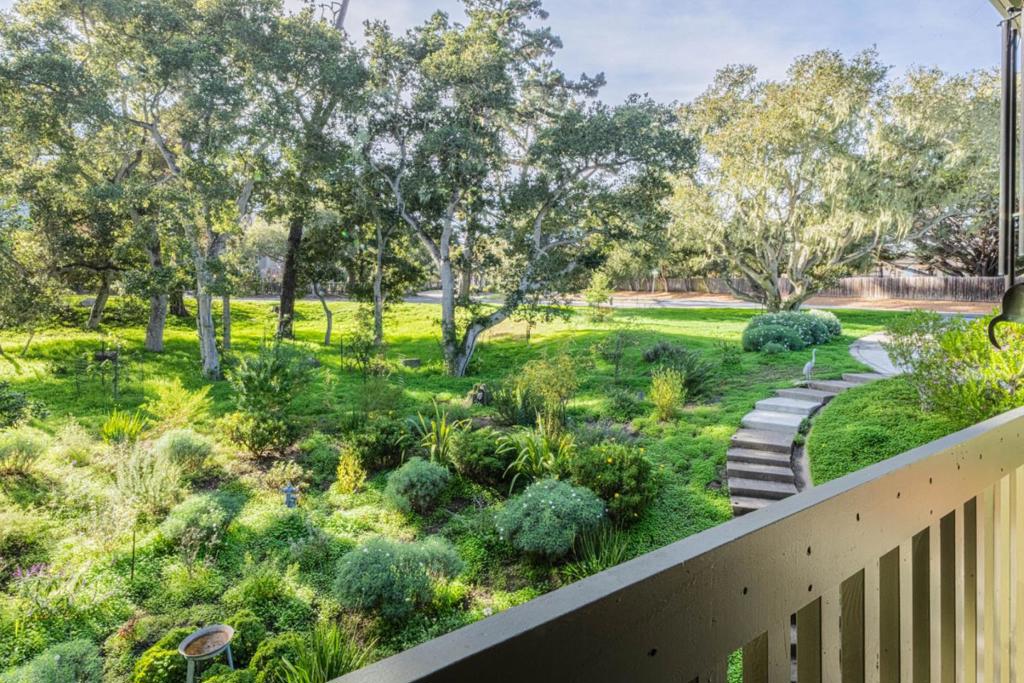 1125 Alta Mesa Road Property Photo 17