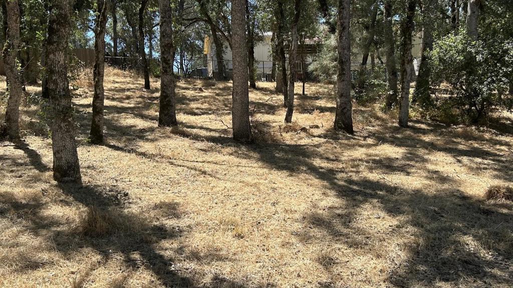 15583 33rd Avenue Property Photo 2