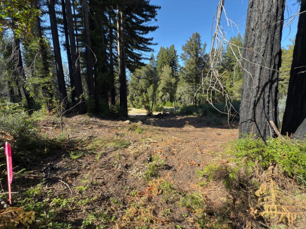 0 Fallen Leaf Drive Property Photo 2