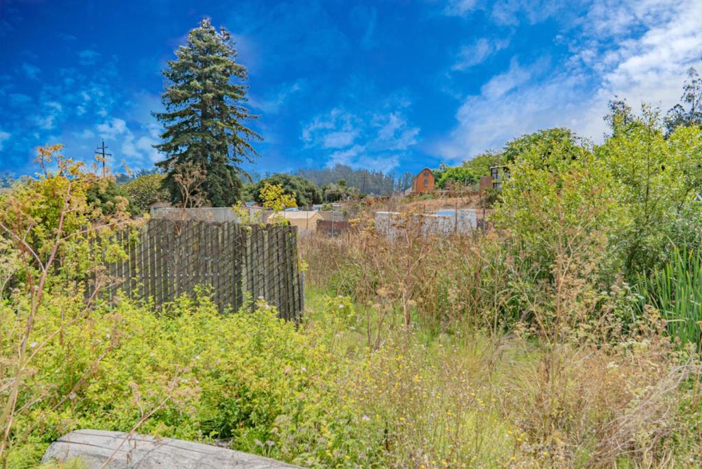 10050 Reese Circle Property Photo 15